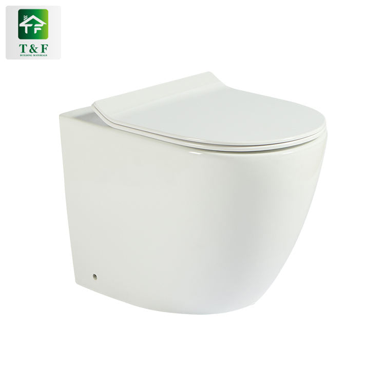 Bồn cầu treo tường màu trắng, thiết kế hiện đại, nắp đóng liền khít, logo T&F góc trên trái.