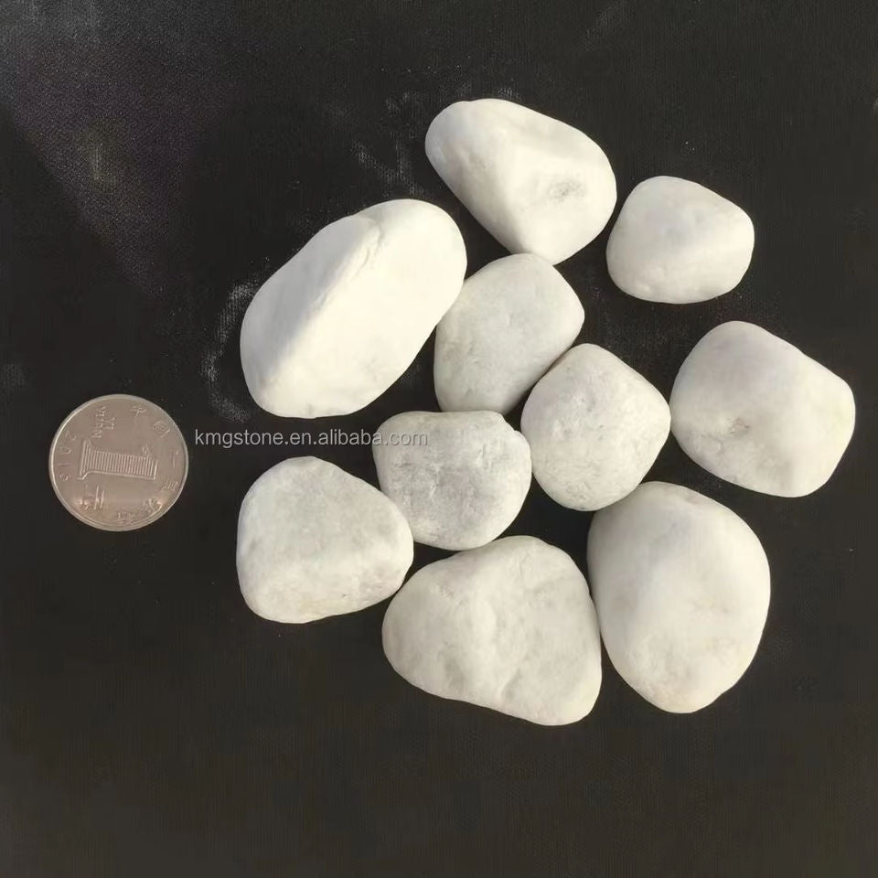Mười viên sỏi trắng nằm trên nền đen, cạnh một đồng xu bạc.