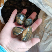 Một bàn tay cầm bốn viên đá vân màu nâu và đen bóng loáng.