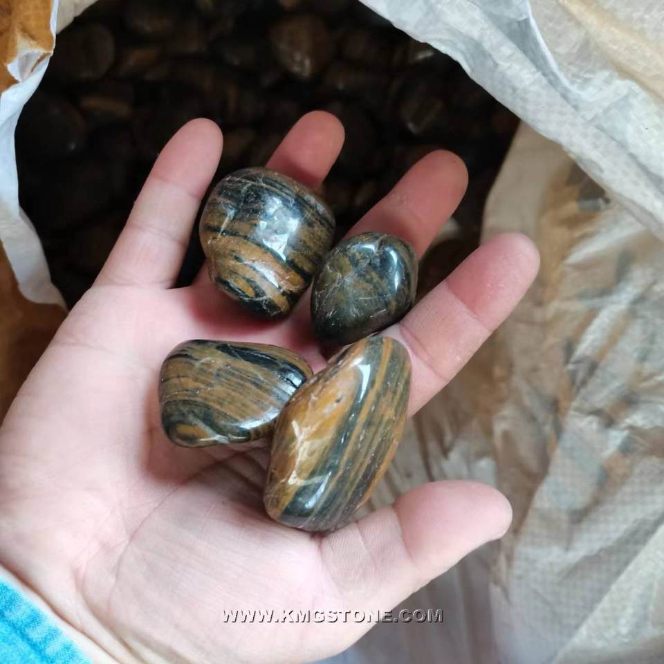 Một bàn tay cầm bốn viên đá vân màu nâu và đen bóng loáng.