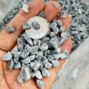 Đá nhỏ màu xám trong lòng bàn tay, có một đồng xu kim loại để so sánh kích thước.
