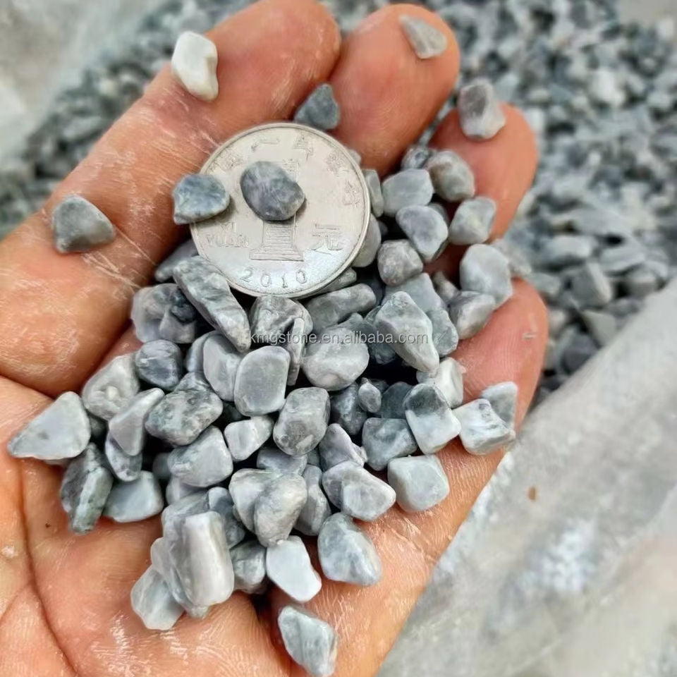 Đá nhỏ màu xám trong lòng bàn tay, có một đồng xu kim loại để so sánh kích thước.