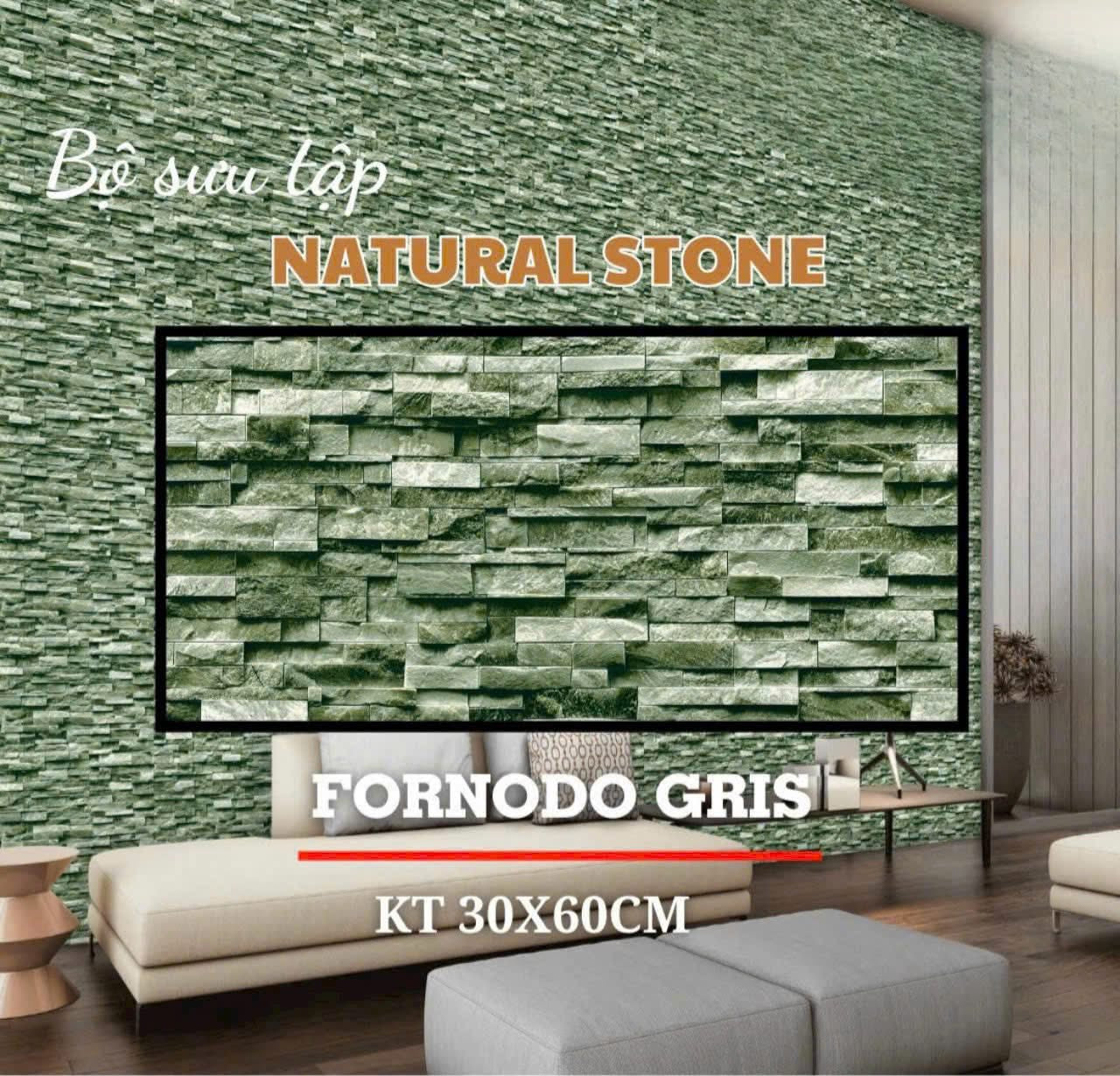 Gạch ốp tường giả đá 30x60cm