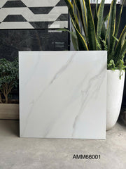 Gạch Lát Nền Grand Ceramic 60×60 AMM66001
