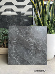 Gạch Lát Nền Grand Ceramic 60×60 AMM66004