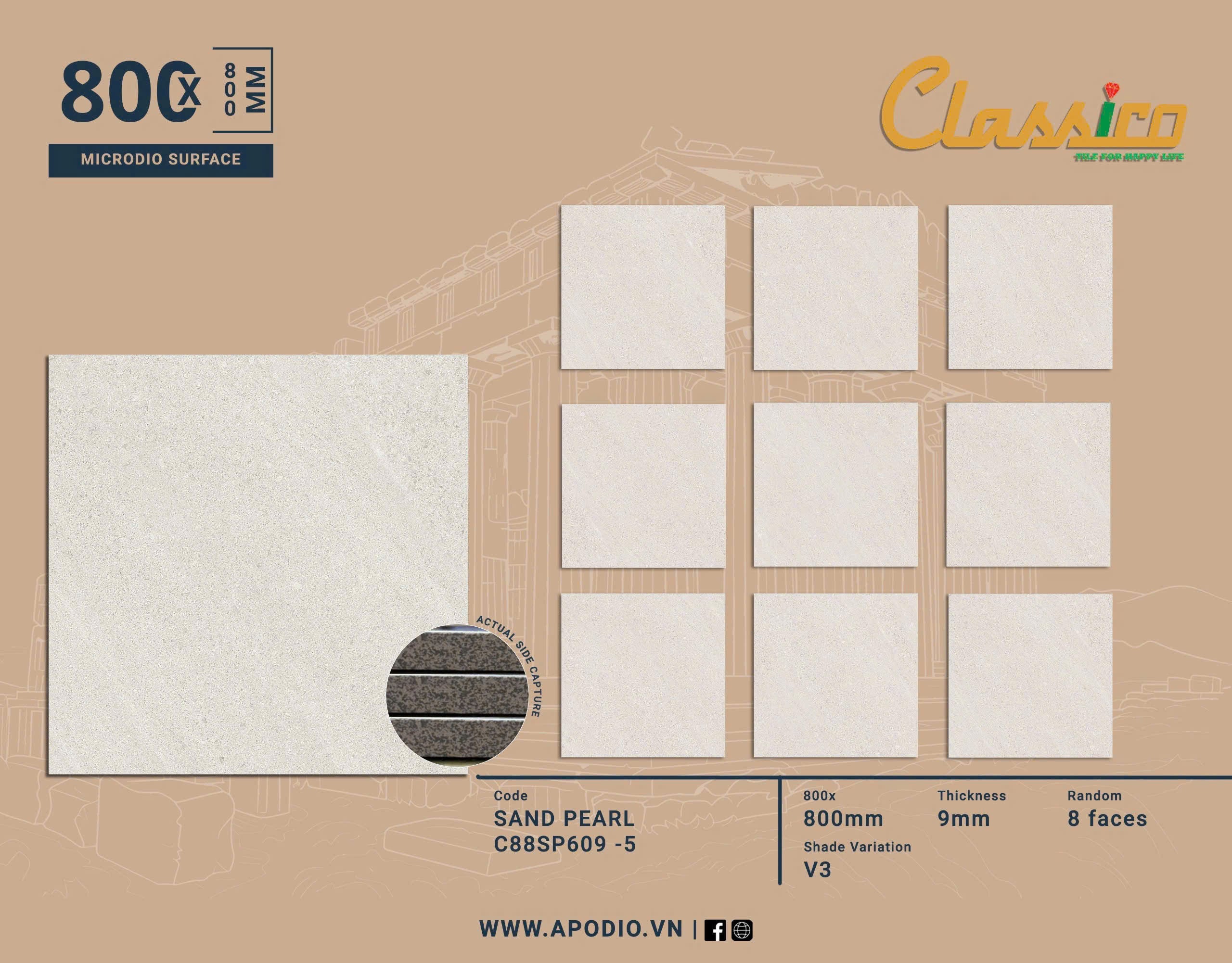 Gạch Men Mờ KT 800x800 C88SP609-5
