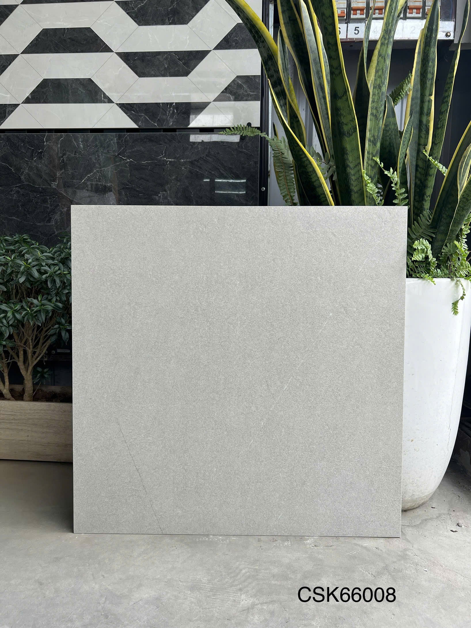 Gạch ốp lát KT 600x600mm CSK66008