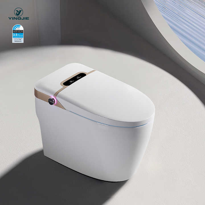 Bồn cầu thông minh American Electric Inodoro Ceramic Sanitary Wc xả nước tự động bằng xi phông - Daisan Store