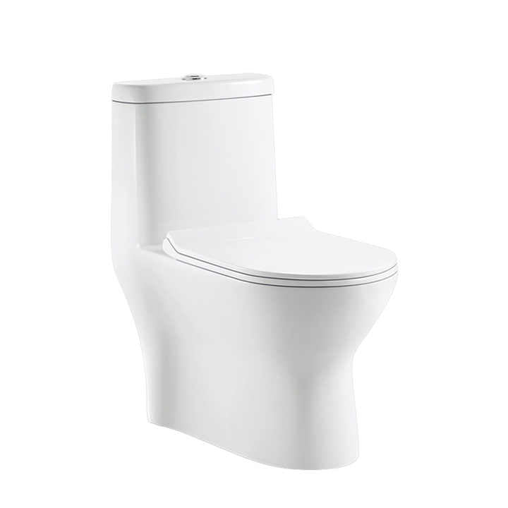 Bồn cầu tiết kiệm nước mới năm 2024, bồn cầu Siphonic S Trap 300 mm, thiết bị vệ sinh bằng gốm, xả kép, xả Siphon, bồn cầu một khối sang trọng - Daisan Store