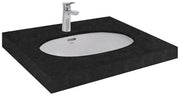 Chậu âm bàn LT546XW - Daisan Store