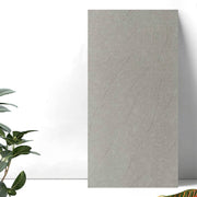 Gạch 300x600mm Matt xương đá 3601 - Daisan Store