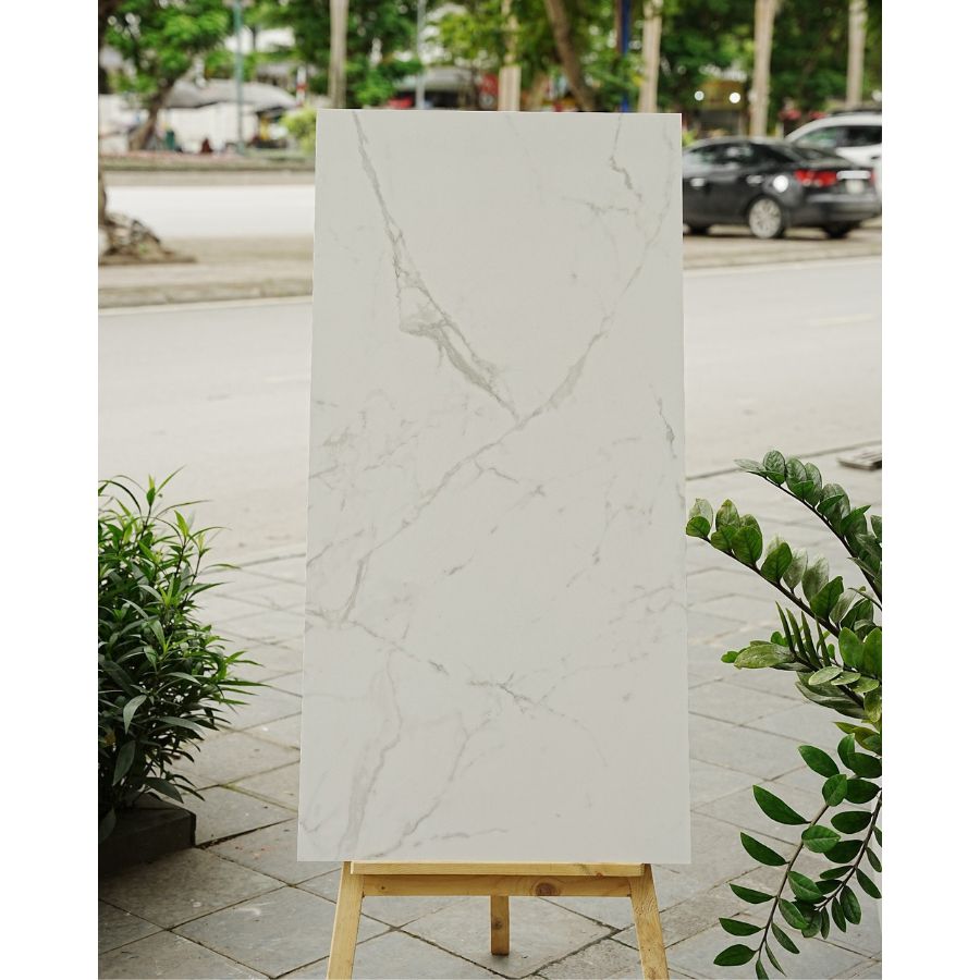 Gạch Ấn Độ KT 600x1200mm 12053R - Daisan Store