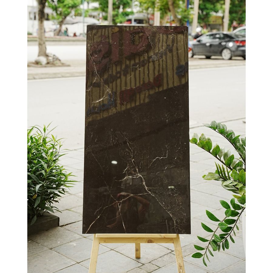 Gạch Ấn Độ KT 600x1200mm 12091H - Daisan Store