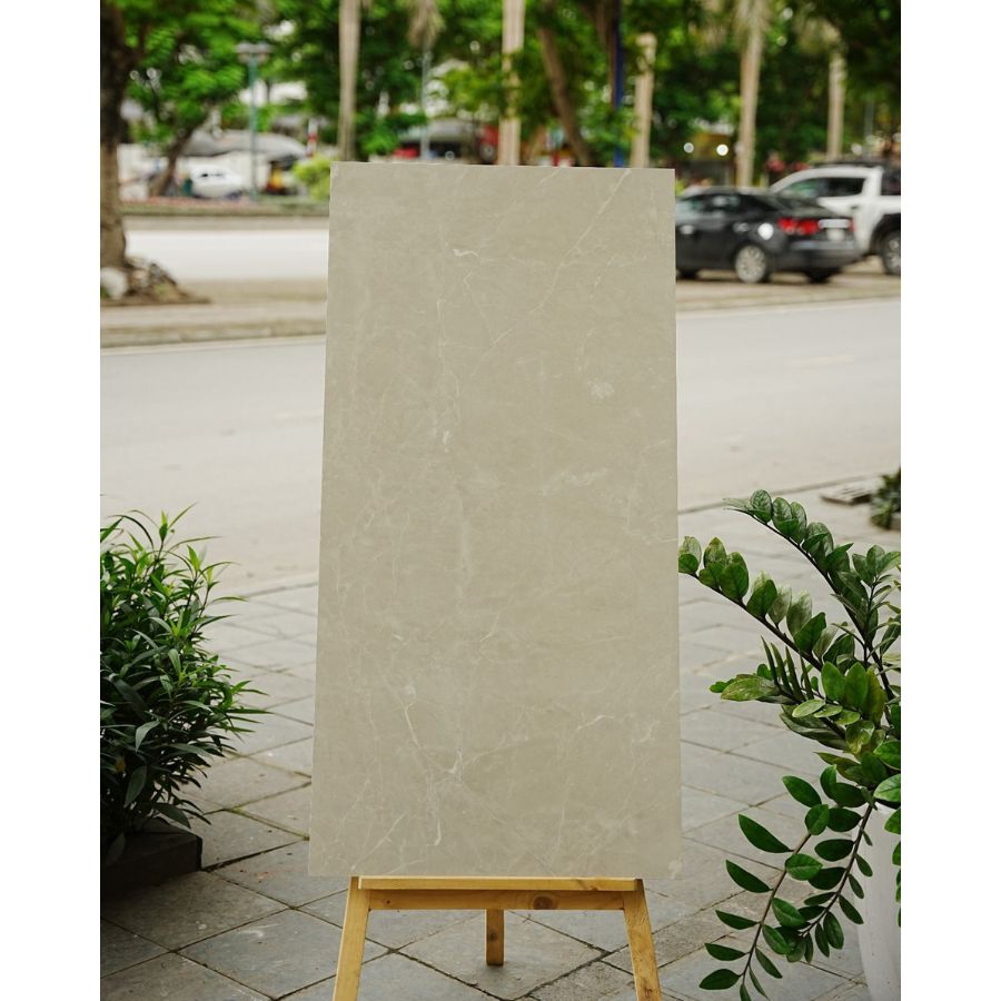 Gạch Ấn Độ KT 600x1200mm 12214R - Daisan Store