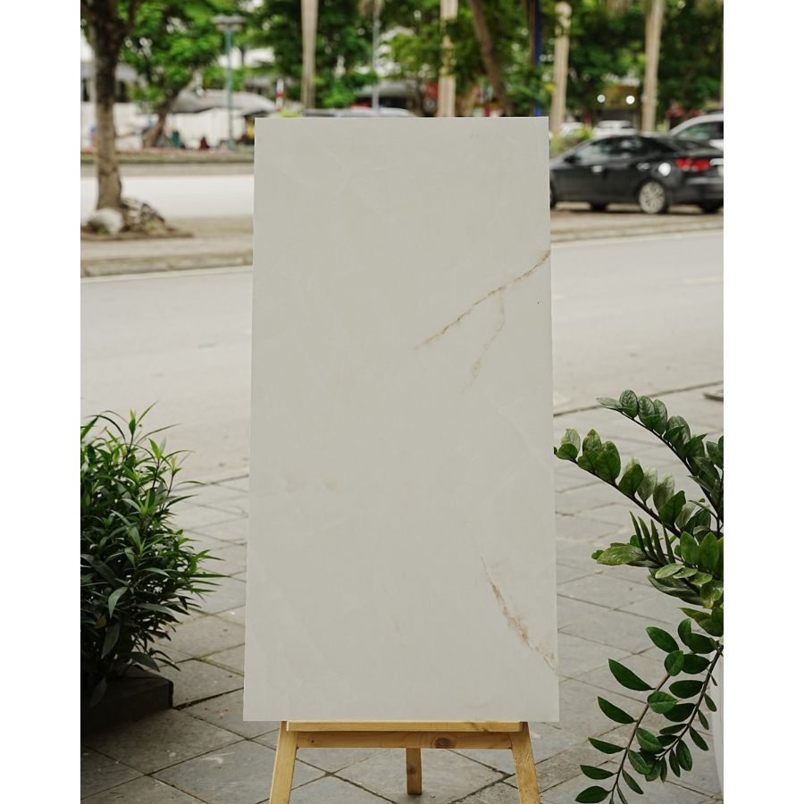 Gạch Ấn Độ KT 600x1200mm Satin Base 1006 - Daisan Store