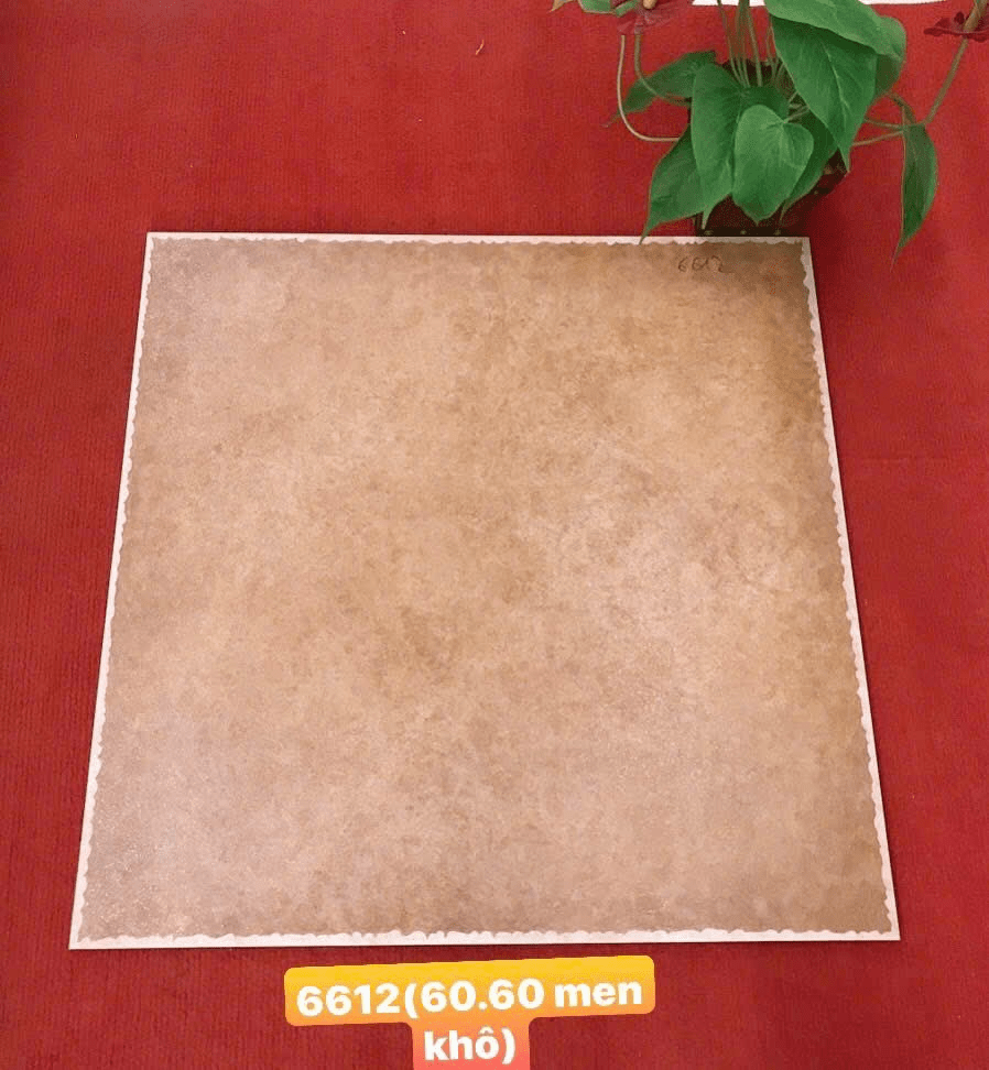 Gạch giả cổ nhập khẩu 60x60 6612 - Daisan Store
