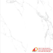 Gạch granite 800x800 Thạch Bàn PGM80 - 0225 - Daisan Store