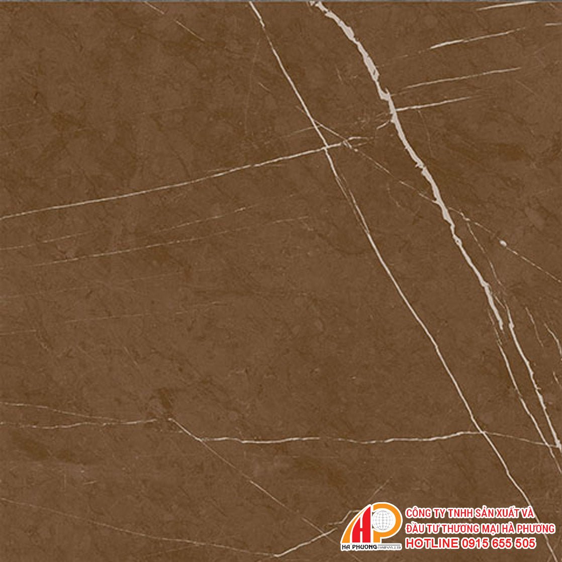 Gạch granite men khô Thạch Bàn PGM60 - 0236 - Daisan Store