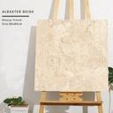 Gạch khổ lớn cao cấp nhập khẩu Ấn Độ men bóng 800*800m Albaster Beige - Daisan Store