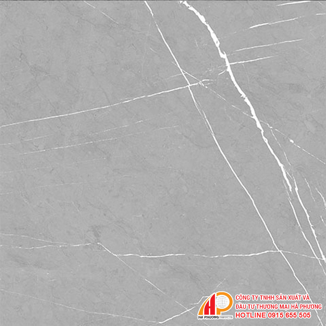 Gạch lát granite vân đá Thạch Bàn PGM60 - 0232 - Daisan Store