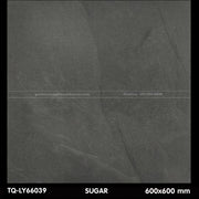 Gạch lát nền 600×600 TQ - LY 66039 - Daisan Store