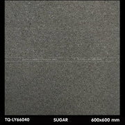 Gạch lát nền 600×600 TQ - LY 66040 - Daisan Store