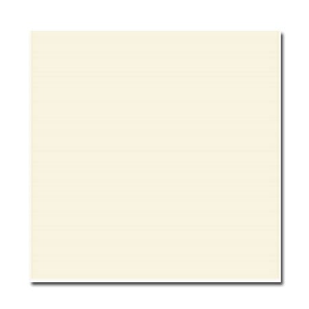 Gạch lát nền 80×80 Bạch Mã PL8000 - Daisan Store
