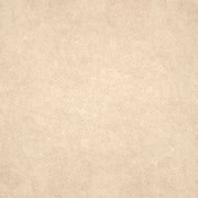Gạch lát nền taicera 30×30 g38932nd - Daisan Store