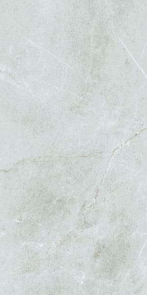 Gạch lát nền taicera 60×120 gp12848 - Daisan Store