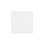Gạch lát sàn màu trắng mờ 300x300mm N3300Y - Daisan Store
