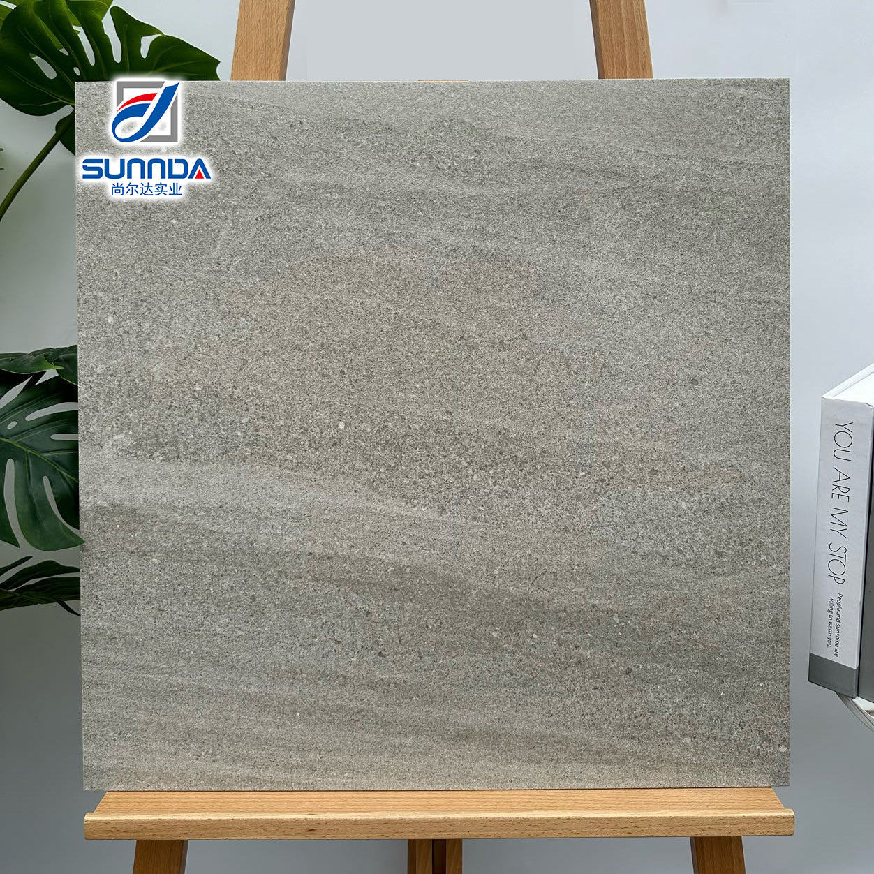 Gạch men ngoài trời mờ 600x600mm - Daisan Store