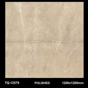 Gạch ốp lát 1200×1200 TQ - 12579 - Daisan Store