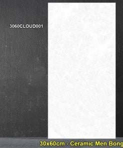 Gạch Ốp Lát 30x60cm Đồng Tâm 3060CLOUD001 - Daisan Store
