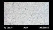 Gạch ốp lát 600×1200 TQ - 601250 - Daisan Store