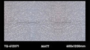 Gạch ốp lát 600×1200 TQ - 612071 - Daisan Store