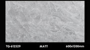 Gạch ốp lát 600×1200 TQ - 612529 - Daisan Store