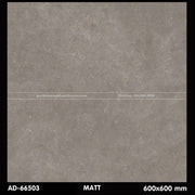 Gạch ốp lát 600×600 AD - 66503 - Daisan Store