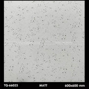 Gạch ốp lát 600×600 TQ - 66025 - Daisan Store