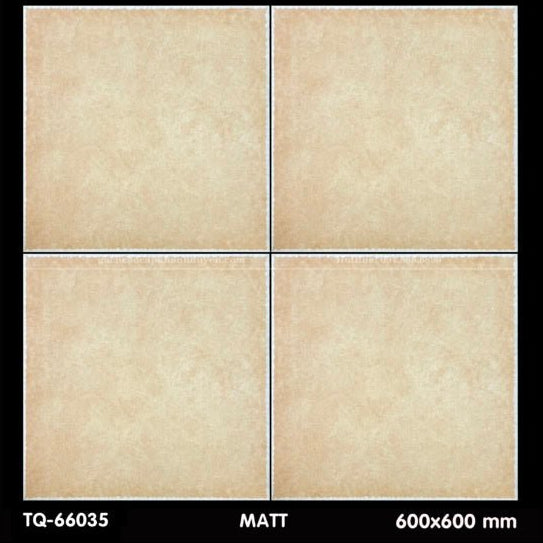 Gạch ốp lát 600×600 TQ - 66035 - Daisan Store