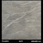 Gạch ốp lát 600×600 TQ - 66053 - Daisan Store