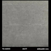 Gạch ốp lát 600×600 TQ - 66055 - Daisan Store