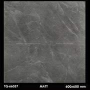 Gạch ốp lát 600×600 TQ - 66057 - Daisan Store