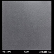 Gạch ốp lát 600×600 TQ - 66075 - Daisan Store