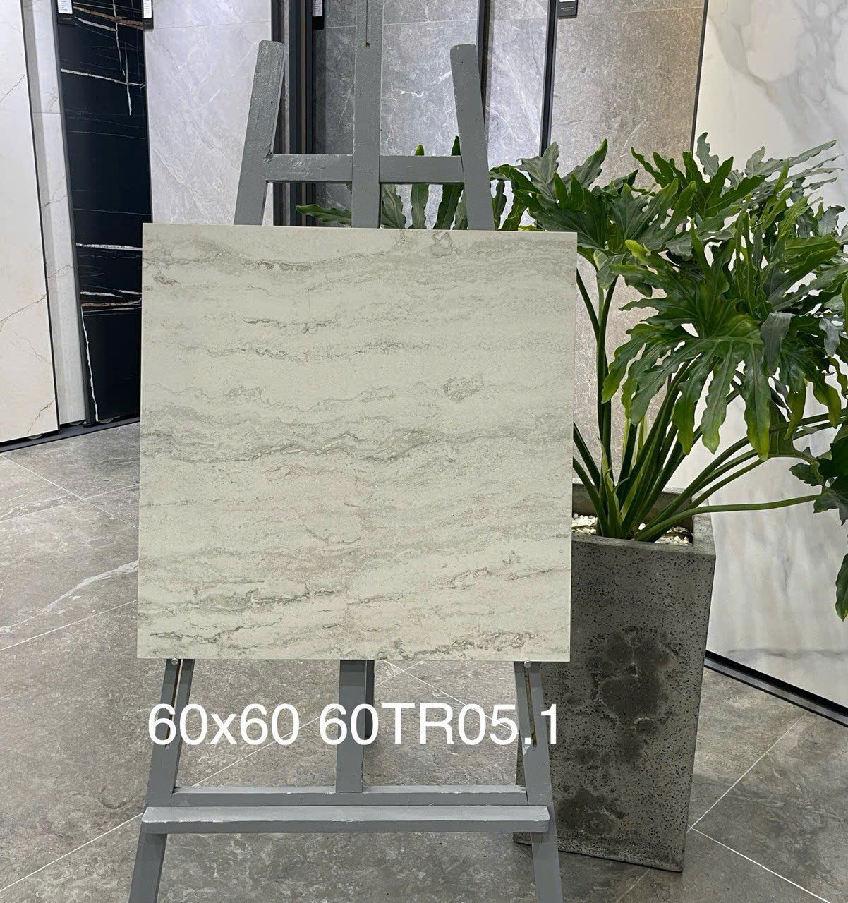 Gạch ốp lát 600x600 mã 60TR05 - Daisan Store