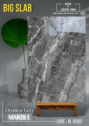Gạch ốp lát Apodio BL 81802 Big Slab - Daisan Store