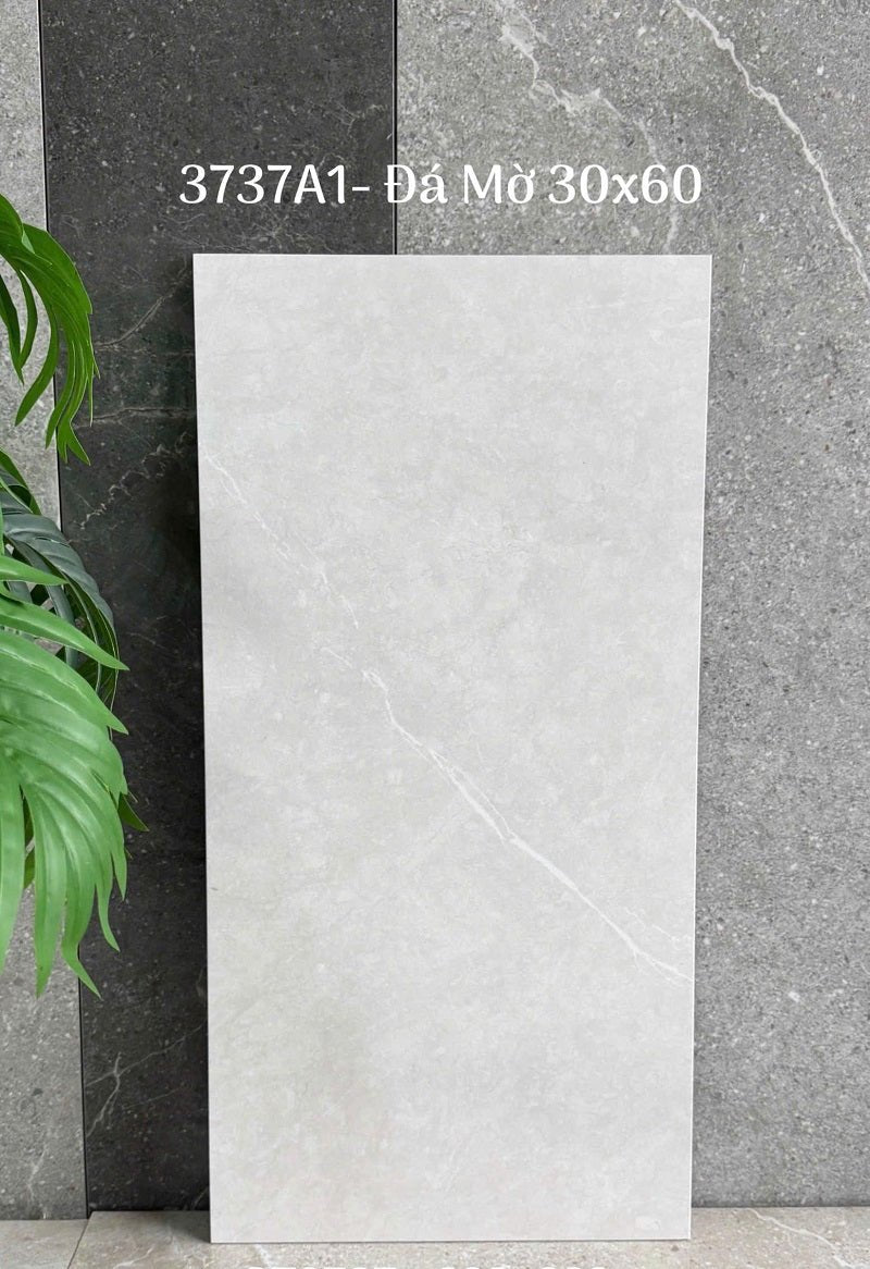 Gạch Ốp Lát Trung Quốc 30x60cm màu vân xi măng 3735A1 - Daisan Store