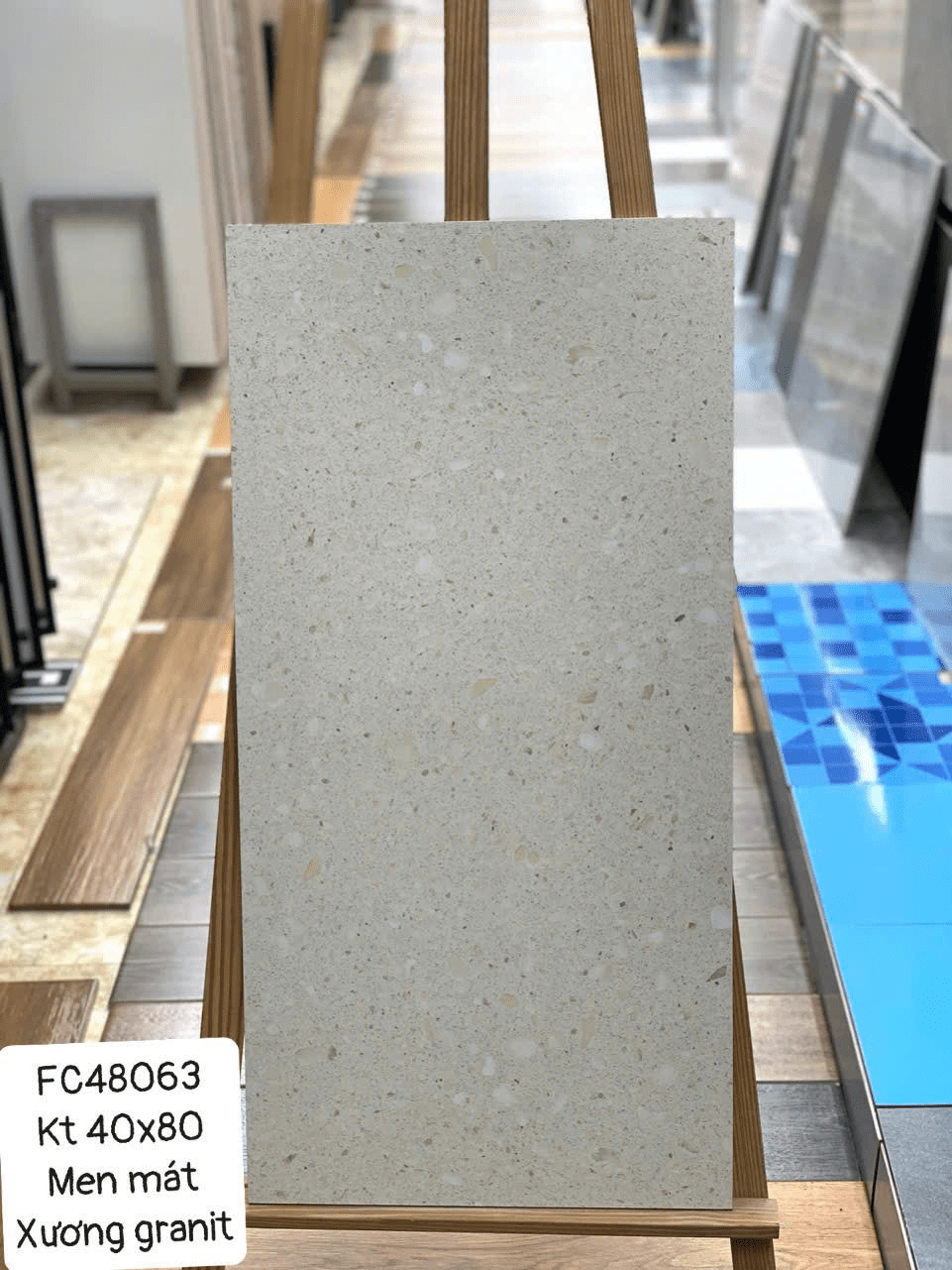 Gạch Terrazzo men matt xương granite 40x80 FC48063 - Daisan Store