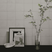 Gạch Thẻ LNA1500M - Daisan Store
