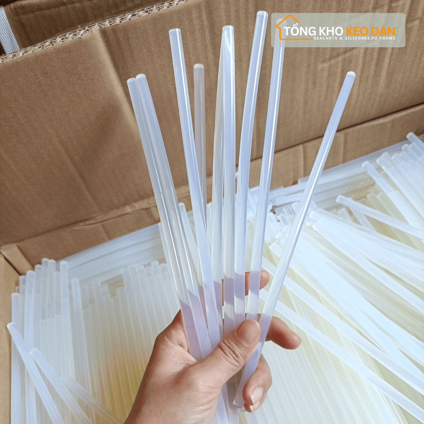 Keo Nến Trắng Lớn Siêu Dính 10mm - Daisan Store