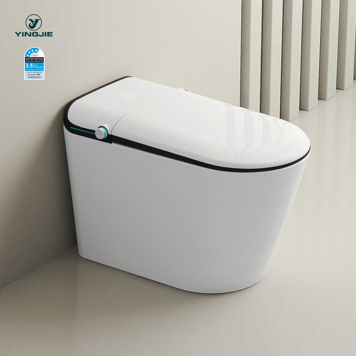 Nhà vệ sinh công cộng thông minh tự động màu đen của Nhật Bản tại Quảng Đông dành cho người cao tuổi có bể chứa nước tích hợp - Daisan Store